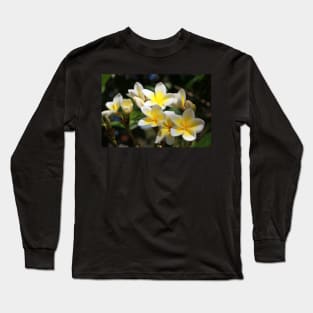 Frangipani Long Sleeve T-Shirt